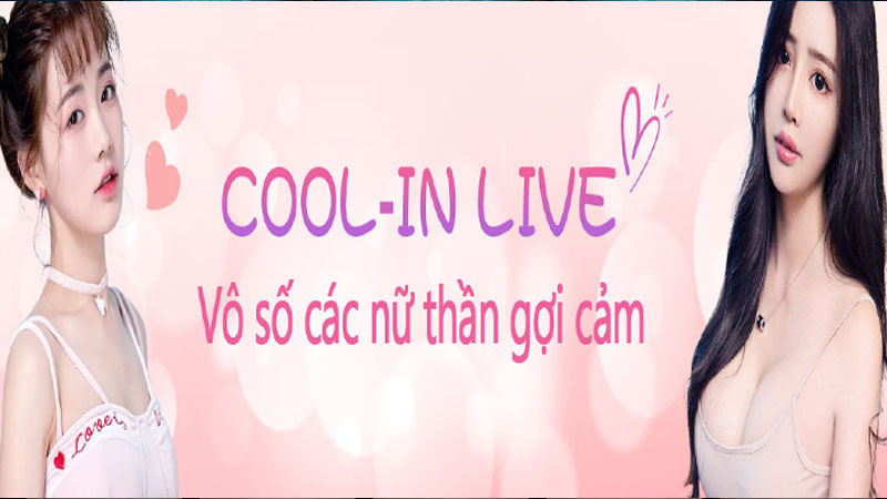 cool in live